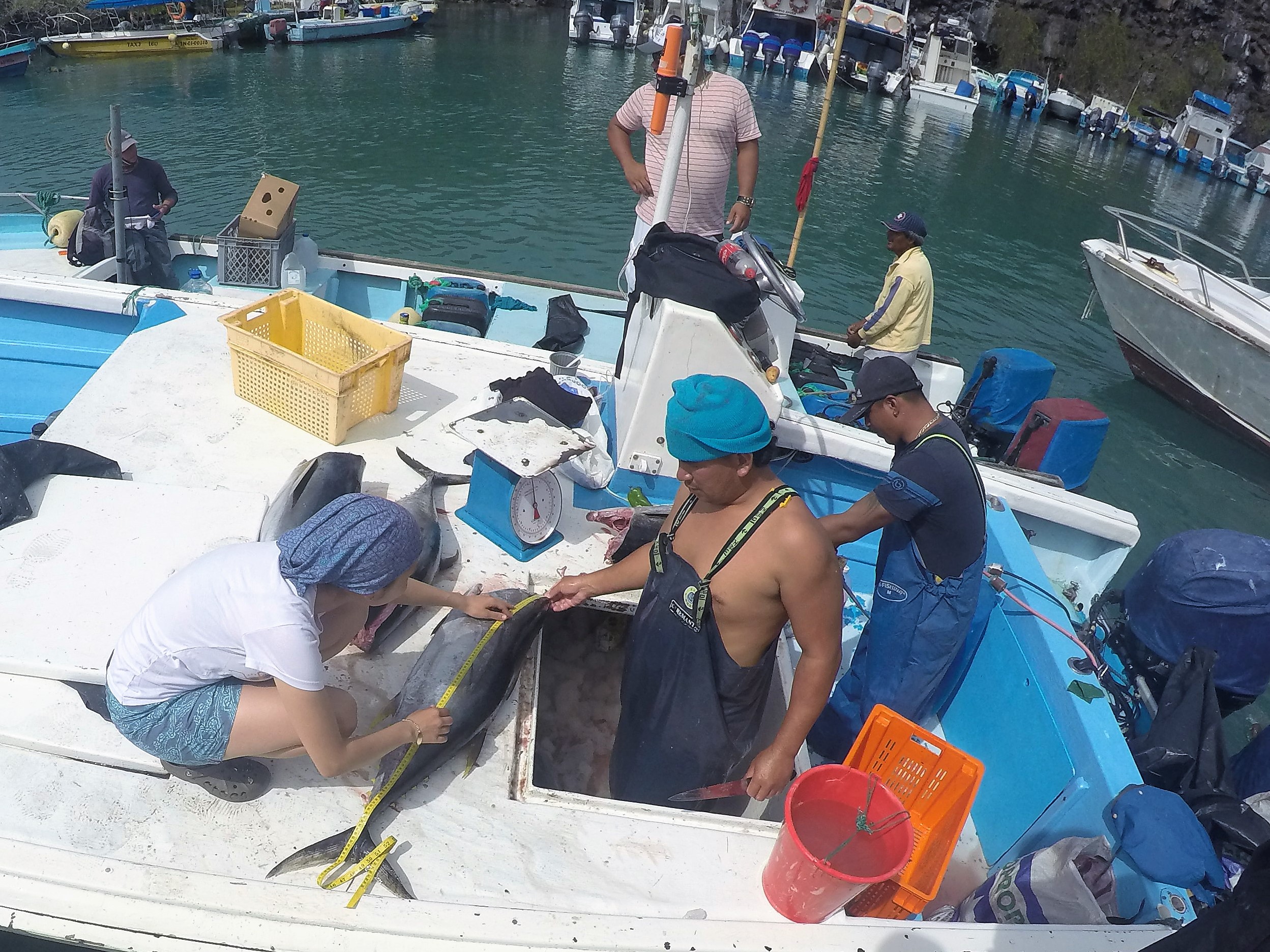 Trabajo de campo en Galápagos